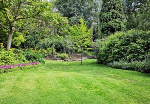 Optimiser l'expérience du jardin à Eschbach-au-Val